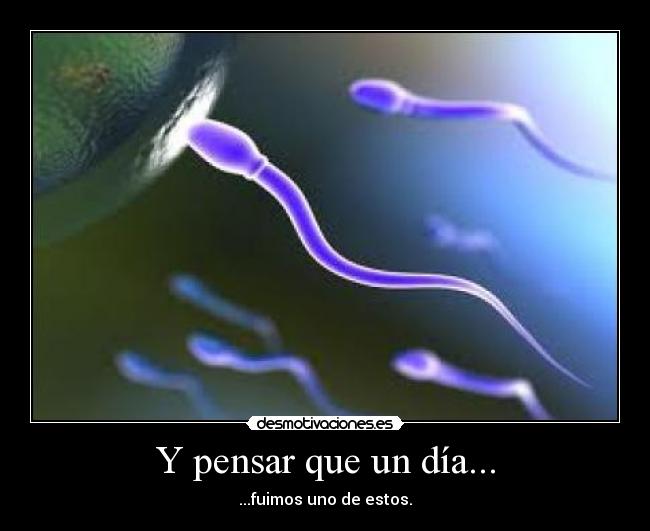 Y pensar que un día... - ...fuimos uno de estos.