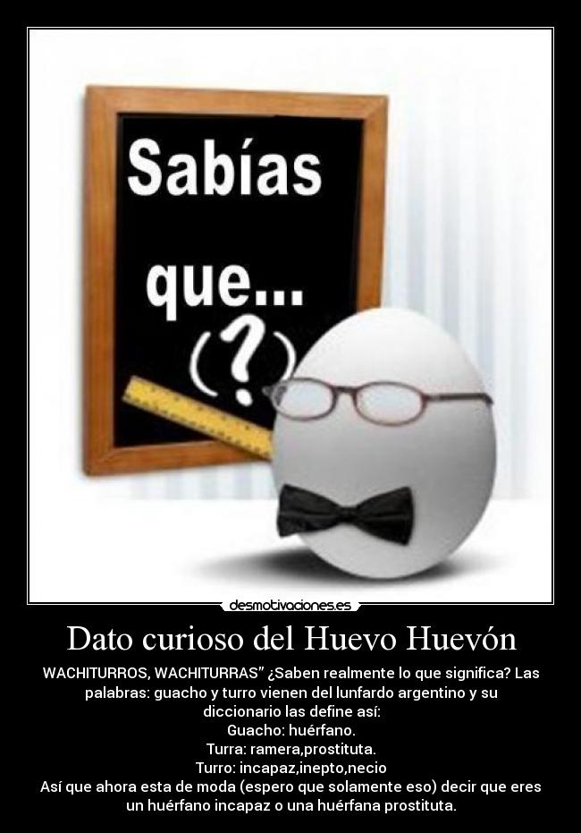 Dato curioso del Huevo Huevón - WACHITURROS, WACHITURRAS” ¿Saben realmente lo que significa? Las
palabras: guacho y turro vienen del lunfardo argentino y su
diccionario las define así:
Guacho: huérfano.
Turra: ramera,prostituta.
Turro: incapaz,inepto,necio
Así que ahora esta de moda (espero que solamente eso) decir que eres
un huérfano incapaz o una huérfana prostituta.