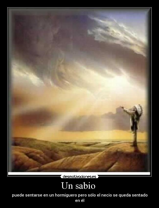 Un sabio - puede sentarse en un hormiguero pero sólo el necio se queda sentado en él