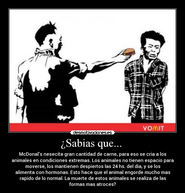 ¿Sabias que...  - 