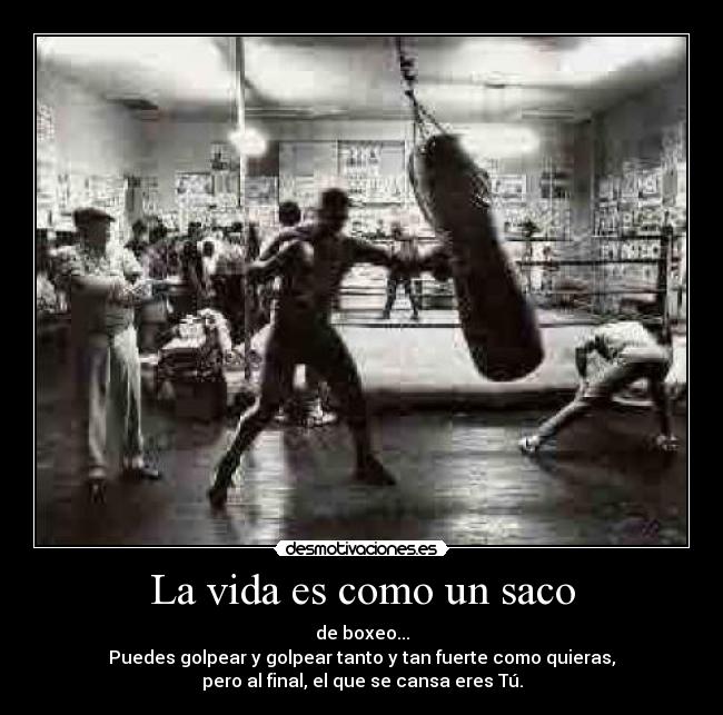 La vida es como un saco -