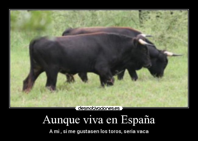 Aunque viva en España - A mi , si me gustasen los toros, seria vaca