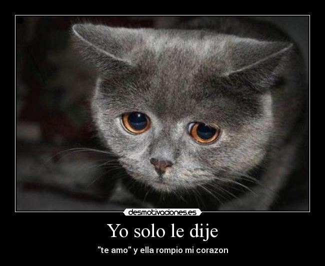Yo solo le dije - te amo y ella rompio mi corazon