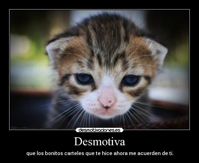 Desmotiva - que los bonitos carteles que te hice ahora me acuerden de ti.