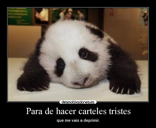 Para de hacer carteles tristes - 