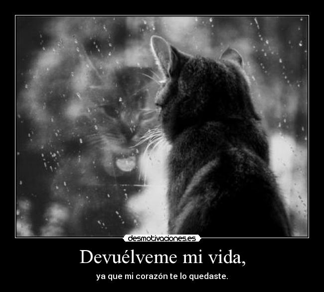 carteles vida aaaa siwenaaa jamalasalamaaa desmotivaciones