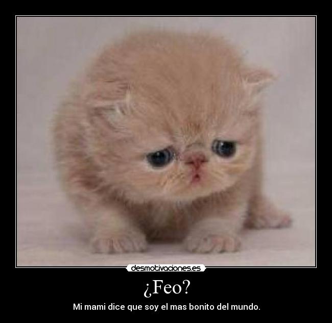 ¿Feo? -
