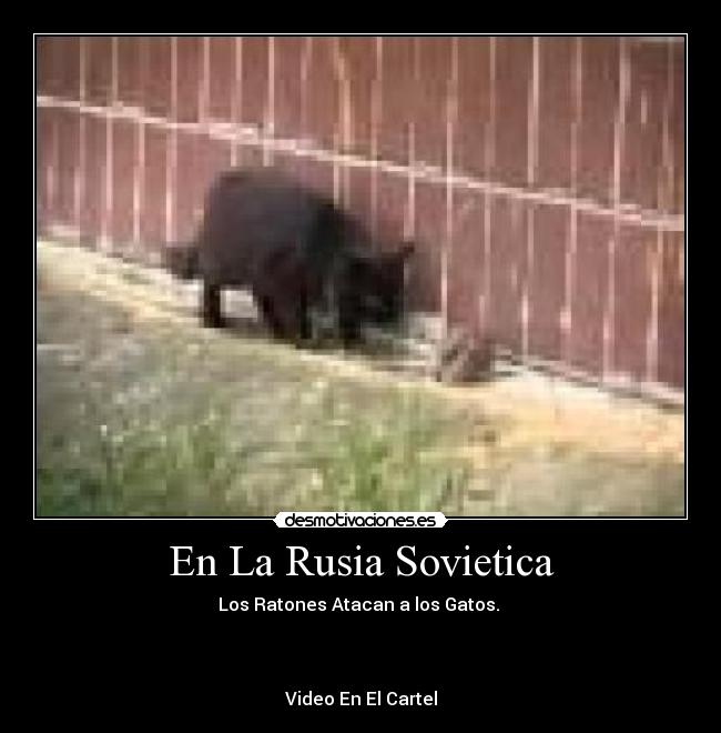 En La Rusia Sovietica - Los Ratones Atacan a los Gatos.
Video En El Cartel