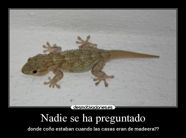 Nadie se ha preguntado -