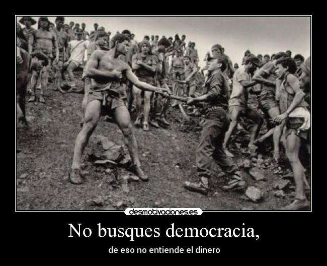 No busques democracia, -