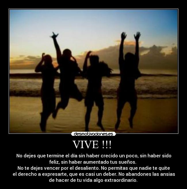 VIVE !!!  - 