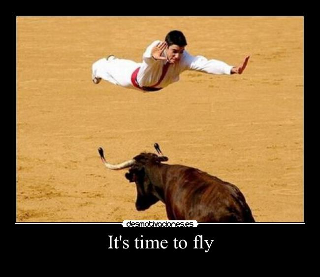 Its time to fly -