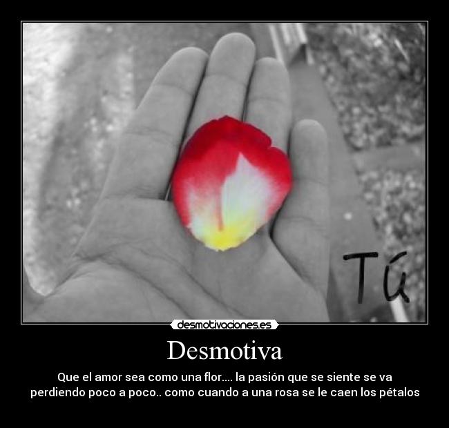 Desmotiva - Que el amor sea como una flor.... la pasión que se siente se va
perdiendo poco a poco.. como cuando a una rosa se le caen los pétalos
♥