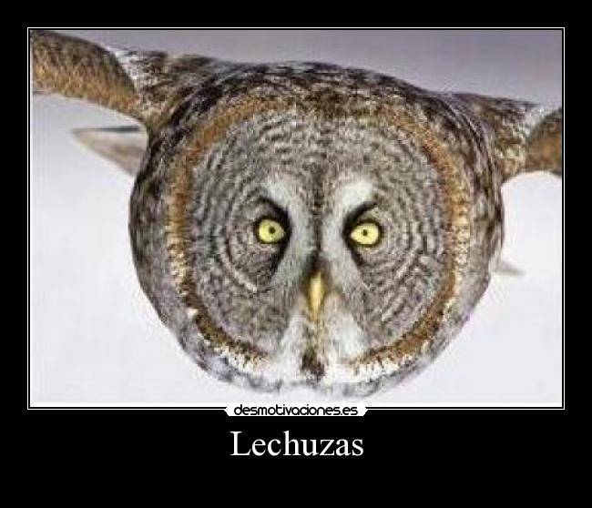 carteles fefeeeweweewewewew desmotivaciones