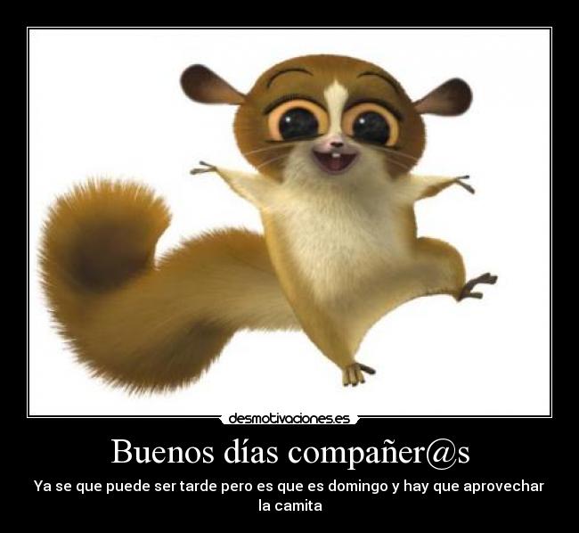 Buenos días compañer@s -