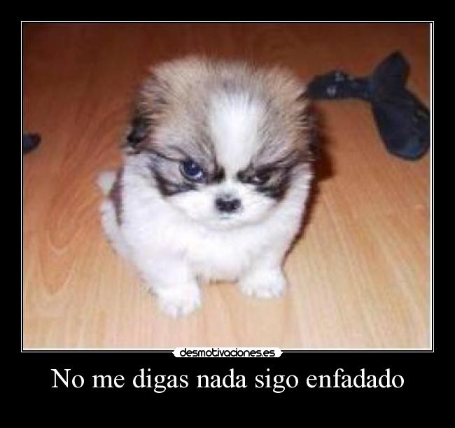 No me digas nada sigo enfadado -