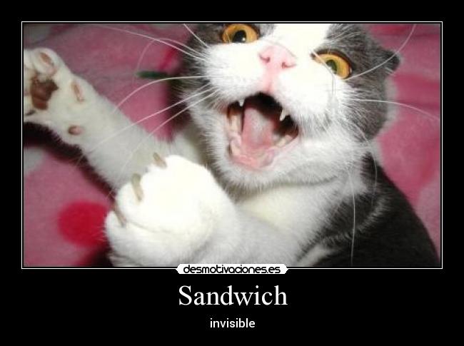 Sandwich - invisible