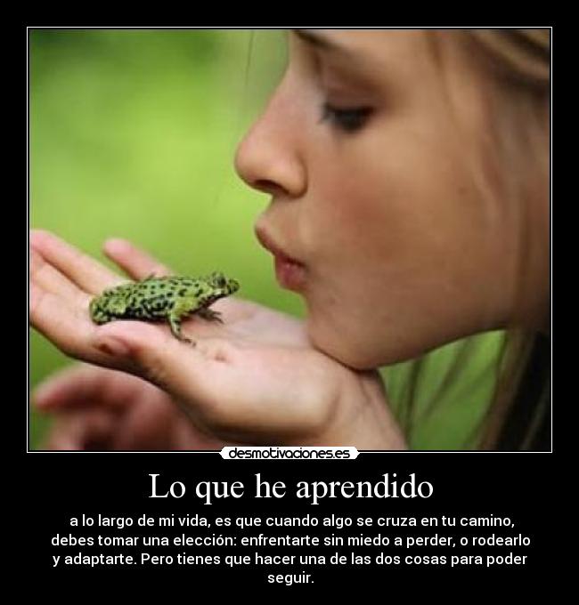 Lo que he aprendido -