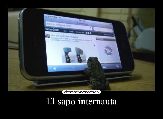El sapo internauta -