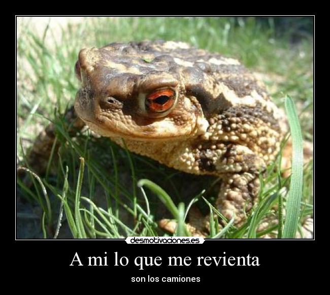 A mi lo que me revienta - 