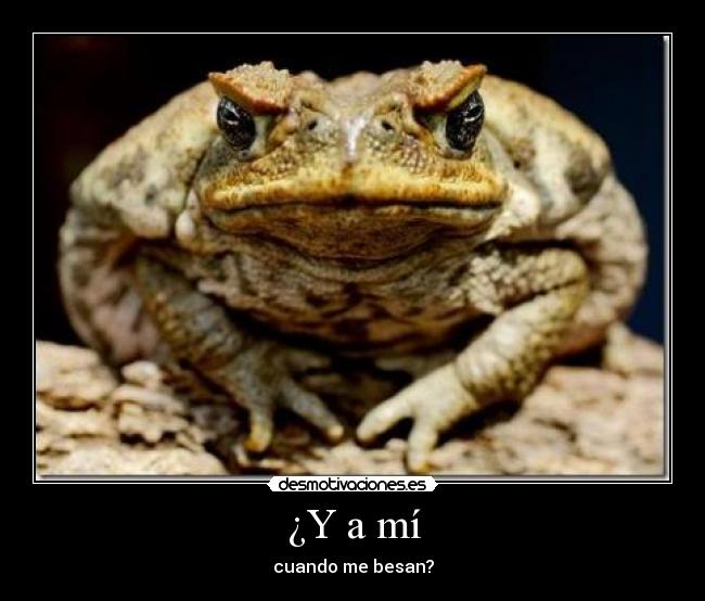 ¿Y a mí - cuando me besan?