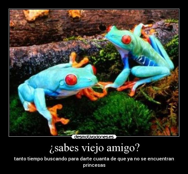 ¿sabes viejo amigo? - tanto tiempo buscando para darte cuanta de que ya no se encuentran princesas