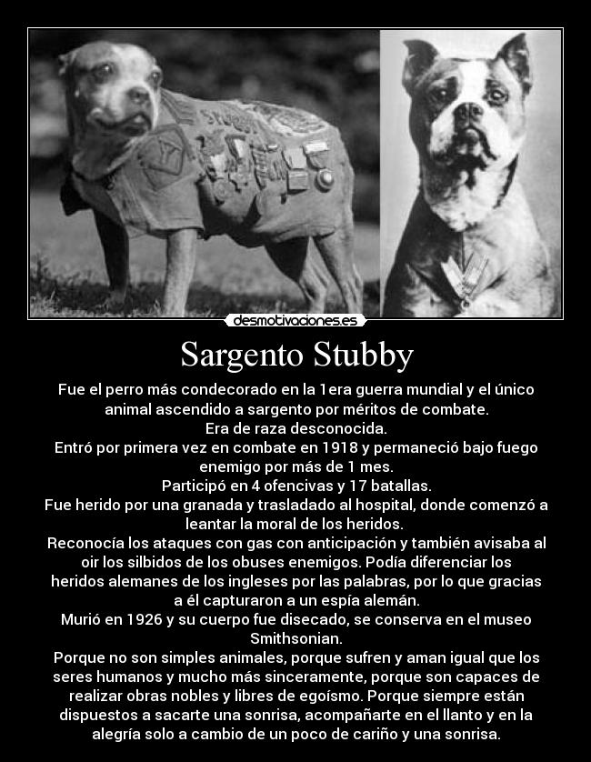 Sargento Stubby - 