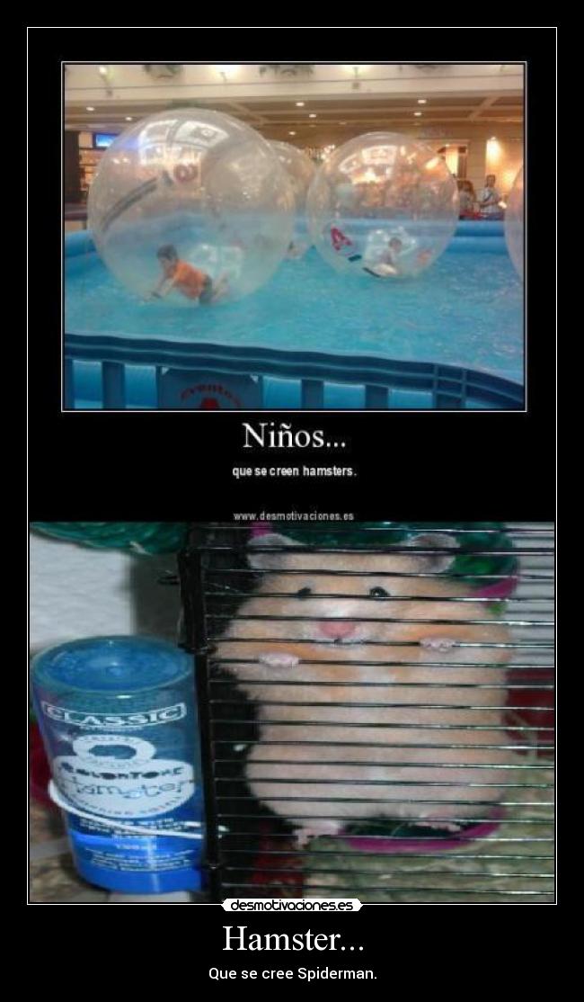Hamster... -