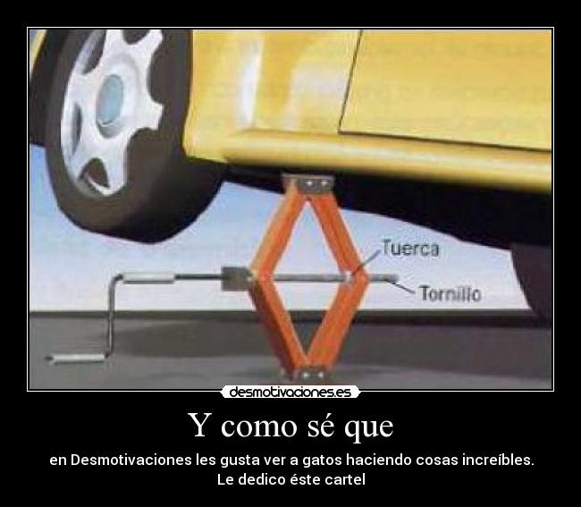 Y como sé que - en Desmotivaciones les gusta ver a gatos haciendo cosas increíbles.
Le dedico éste cartel