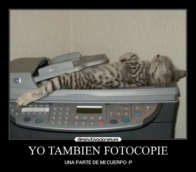 YO TAMBIEN FOTOCOPIE -