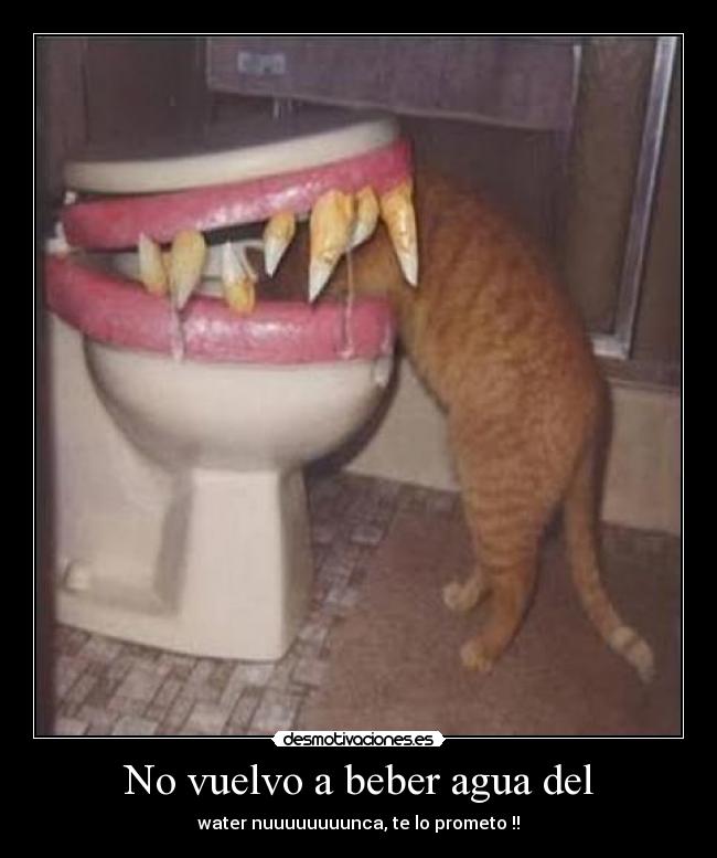 No vuelvo a beber agua del - water nuuuuuuuunca, te lo prometo !!