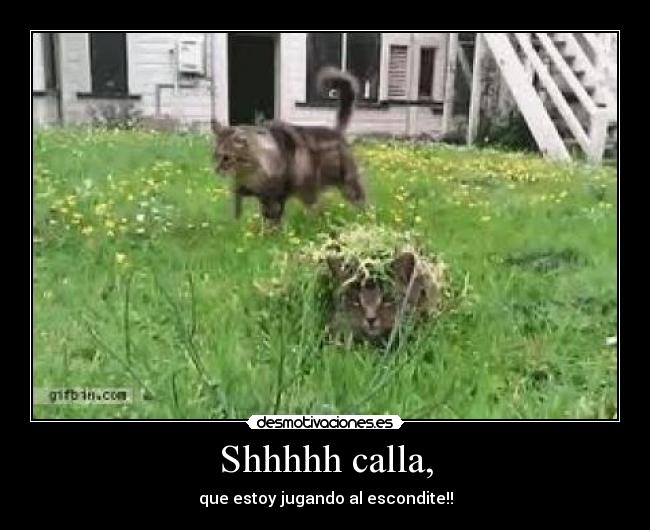 Shhhhh calla, - que estoy jugando al escondite!!