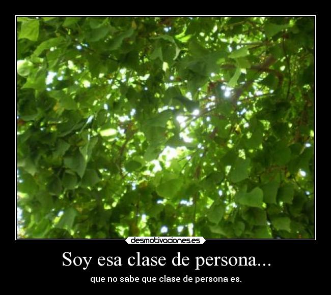 carteles soy esa clase persona que sabe planta hoja arbol luz cielo mirar arriba verde naturaleza desmotivaciones