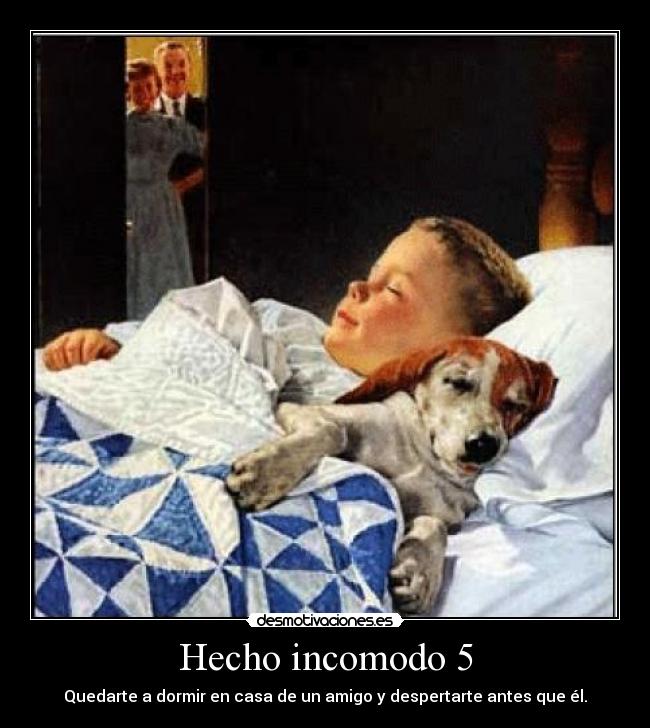 Hecho incomodo 5 -