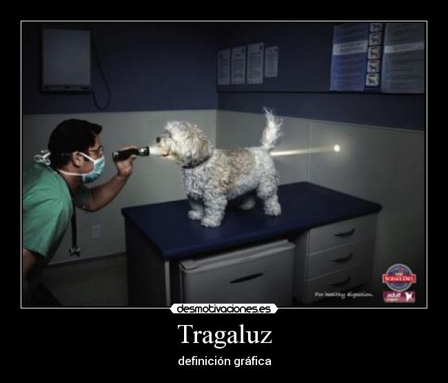 Tragaluz - 