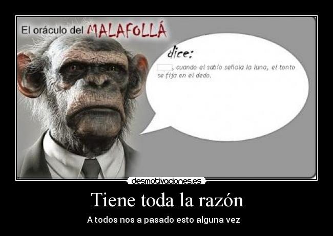carteles tiene toda razon desmotivaciones