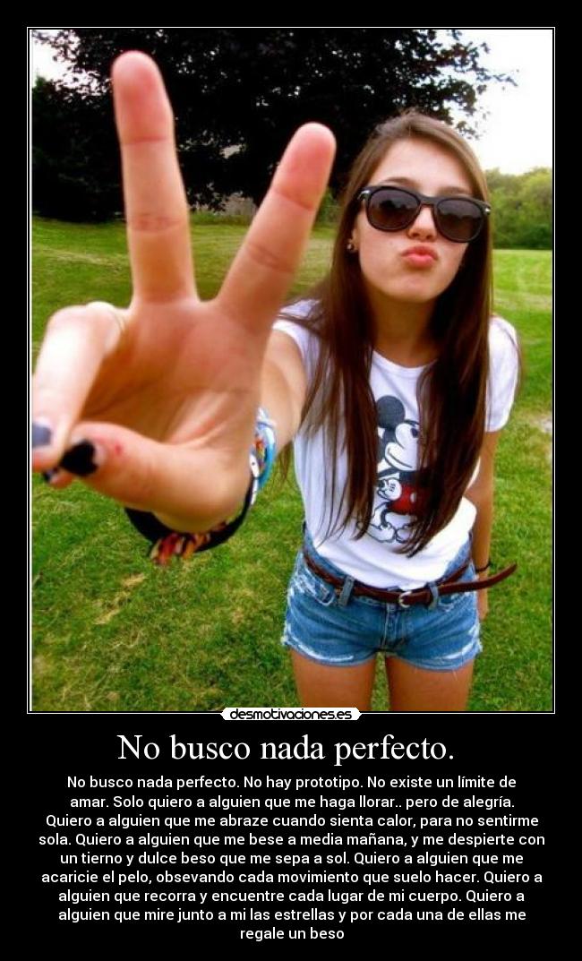 No busco nada perfecto. -