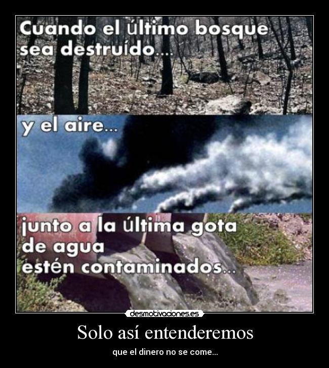 Solo así entenderemos - 