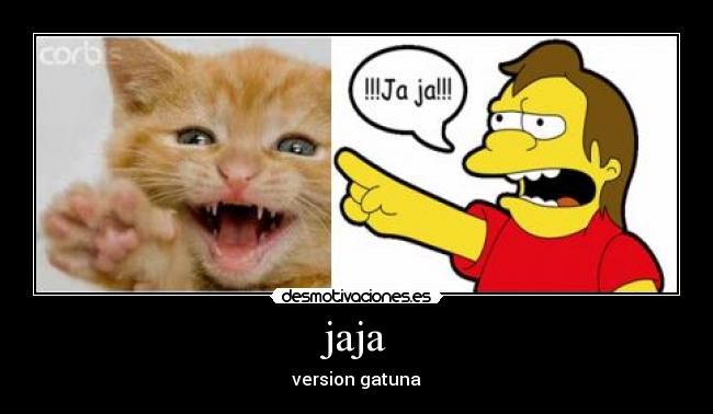 jaja - version gatuna