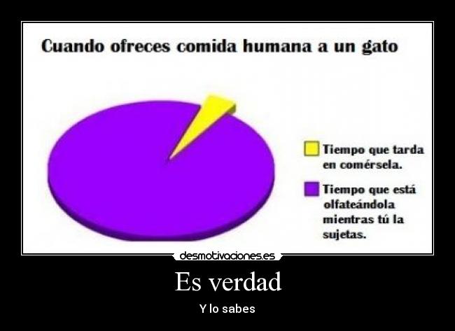 Es verdad - 