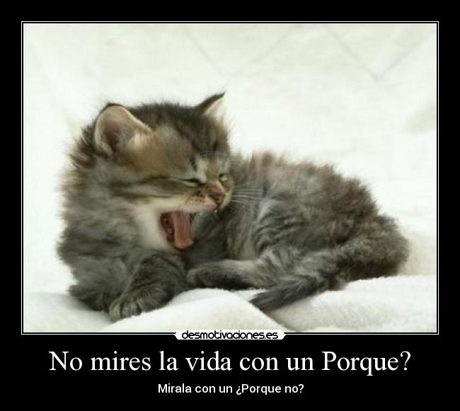 No mires la vida con un Porque? - 