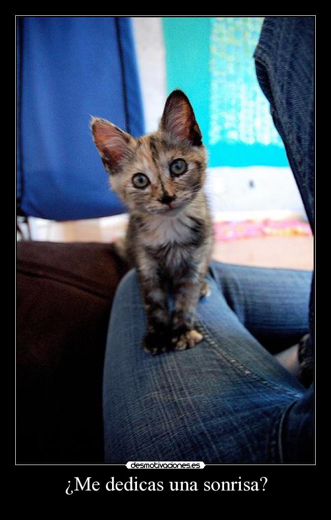 carteles sonrisa dedicas una sonrisa desmotivaciones