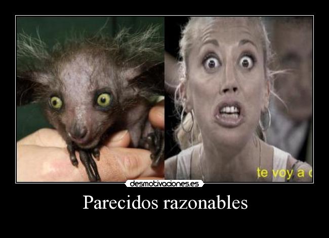 Parecidos razonables -
