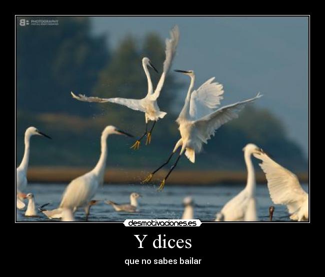 Y dices - que no sabes bailar