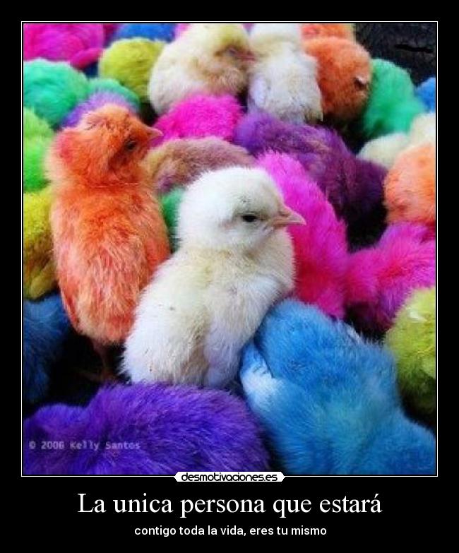 La unica persona que estará -