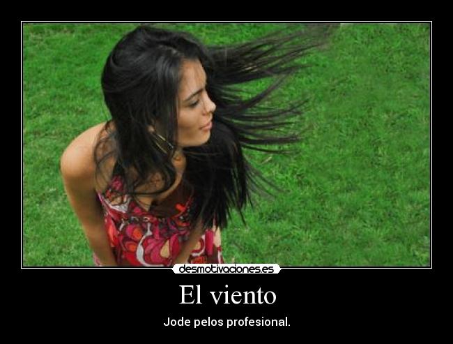 carteles daniduff desmotivaciones