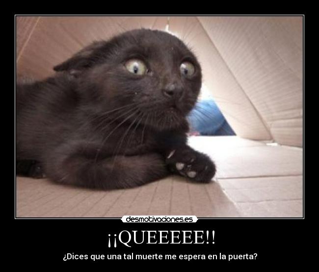 ¡¡QUEEEEE!! - ¿Dices que una tal muerte me espera en la puerta?