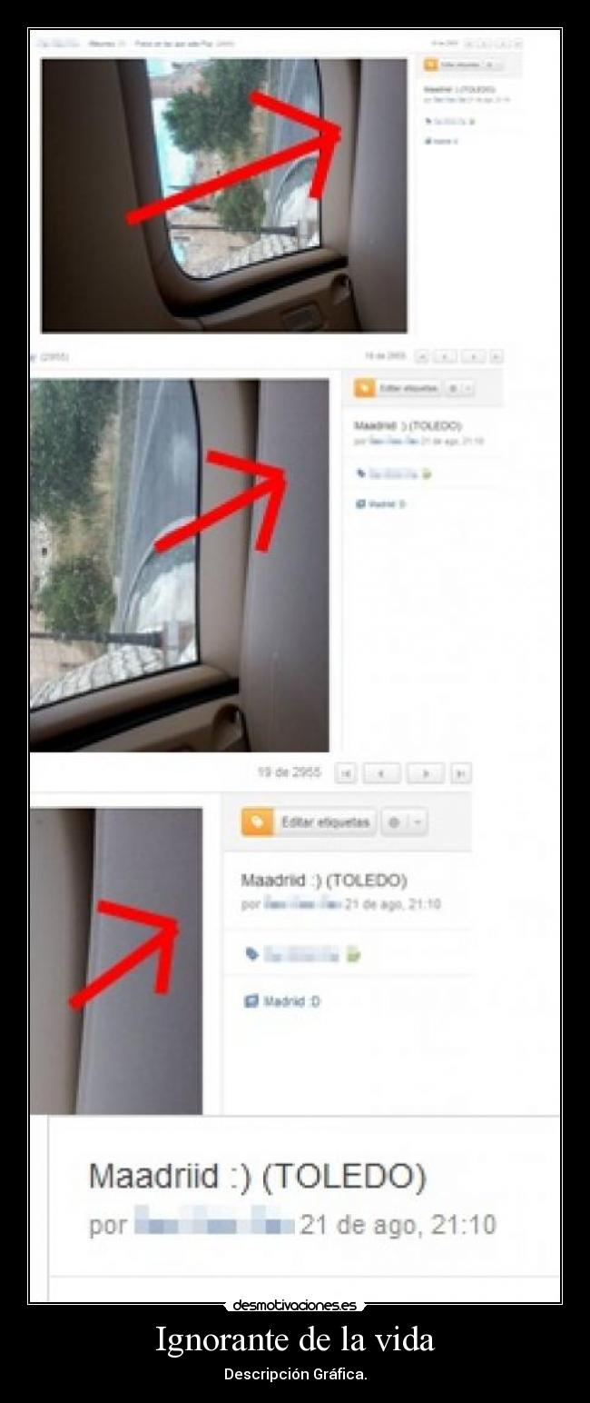 Ignorante de la vida - Descripción Gráfica.