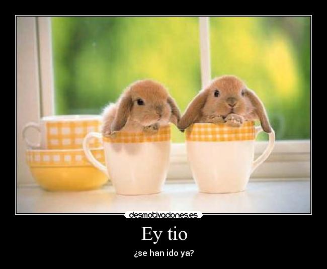 Ey tio - ¿se han ido ya?