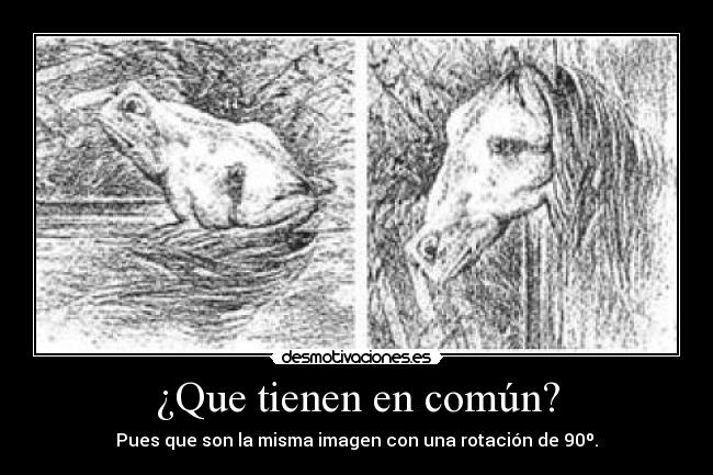¿Que tienen en común? - 